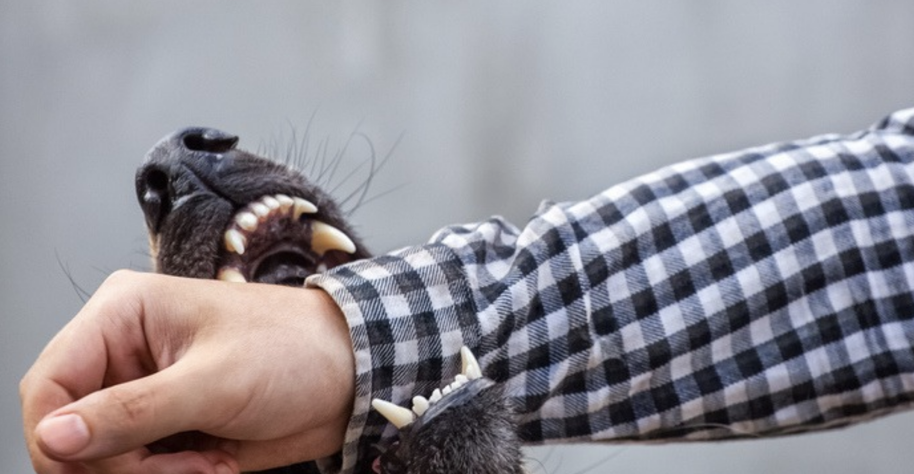 blog header